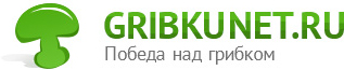 Gribkunet.ru